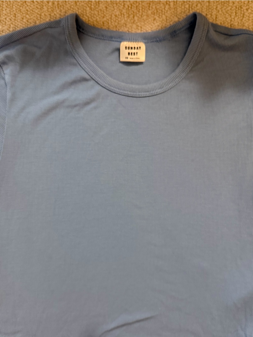 Sunday Best Menโs Light Blue Ribbed Crew Neck Shirt aritzia